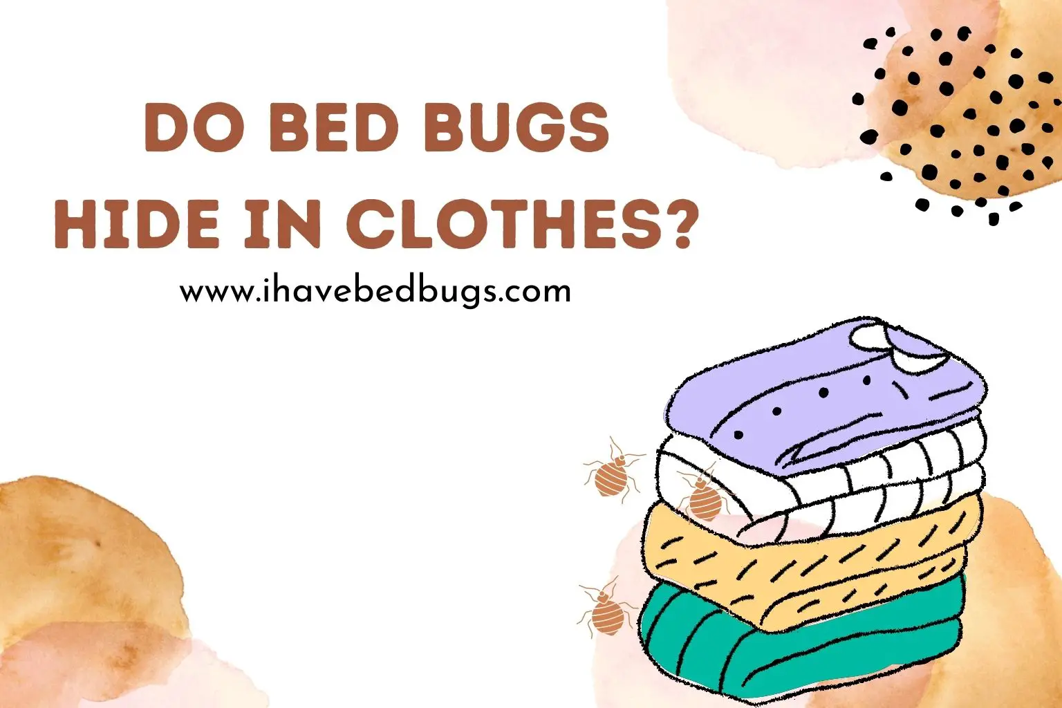 Do bed bugs hide in clothes