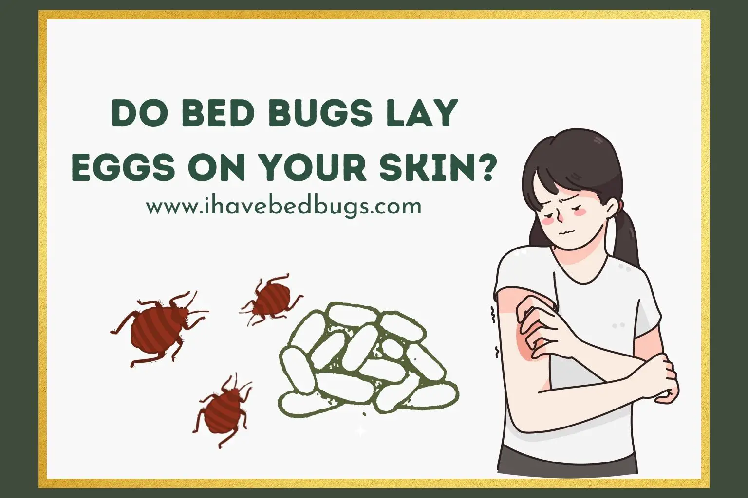 Do bed bugs lay eggs on your skin