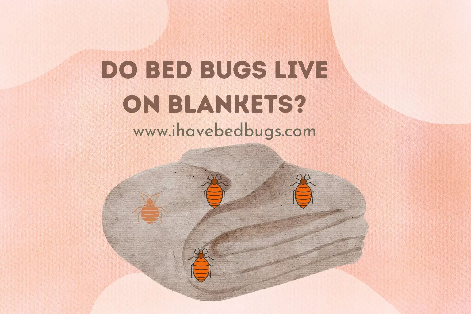 Do bed bugs live on blankets