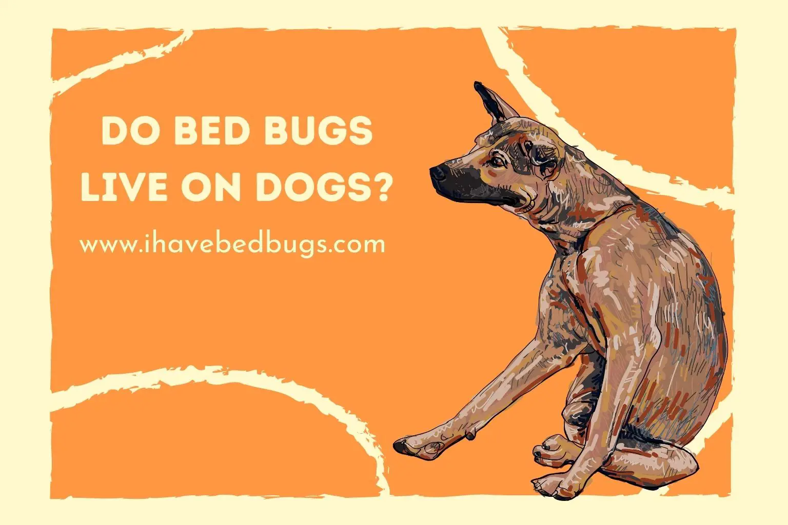 Do bed bugs live on dogs