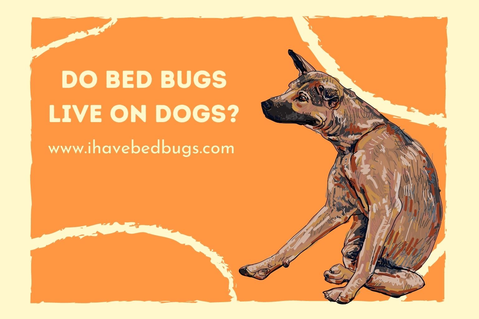Do Bed Bugs Live On Dogs Ihavebedbugs