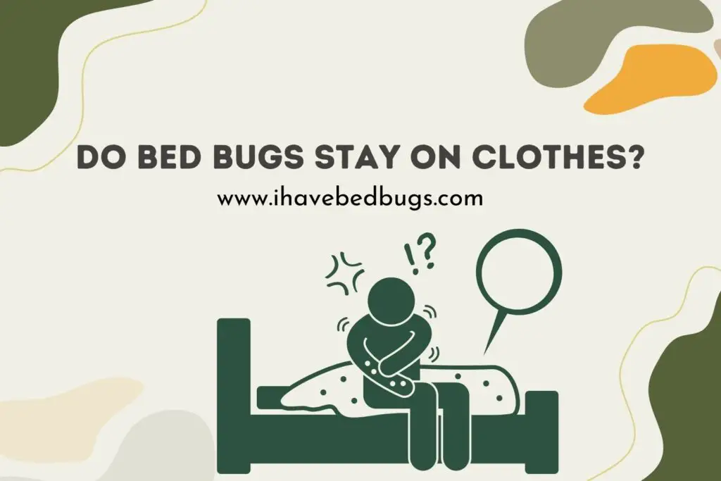 do-bed-bugs-stay-on-clothes-ihavebedbugs