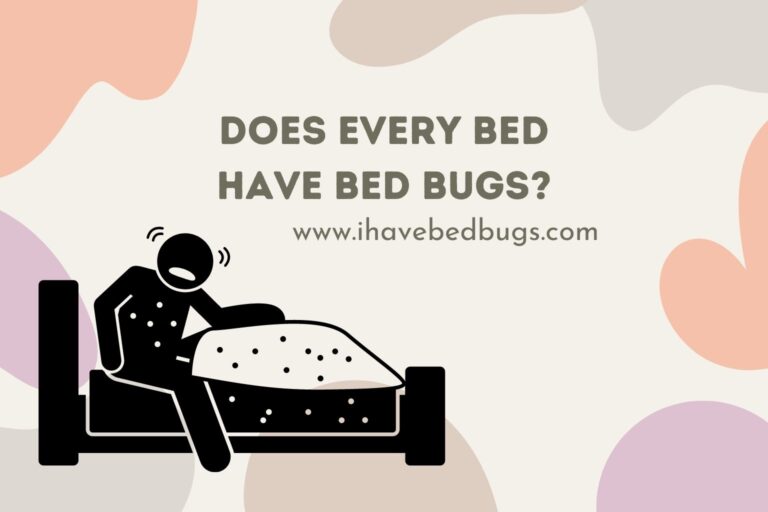 Does Every Bed Have Bed Bugs?