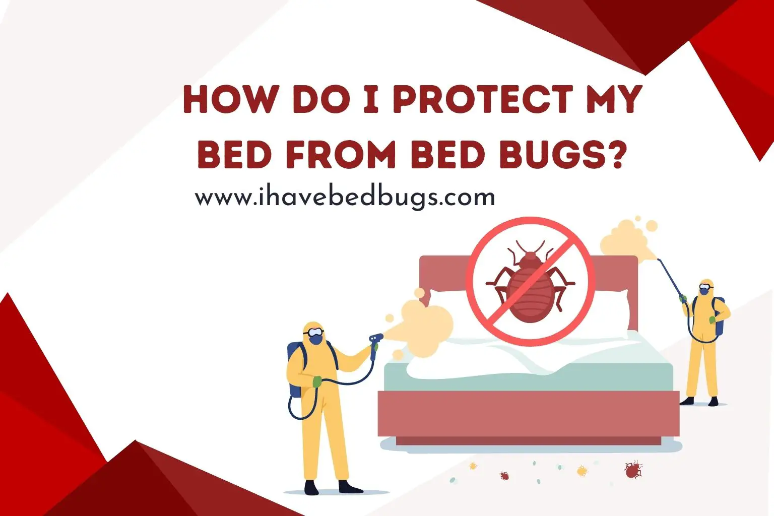 How do I protect my bed from bed bugs