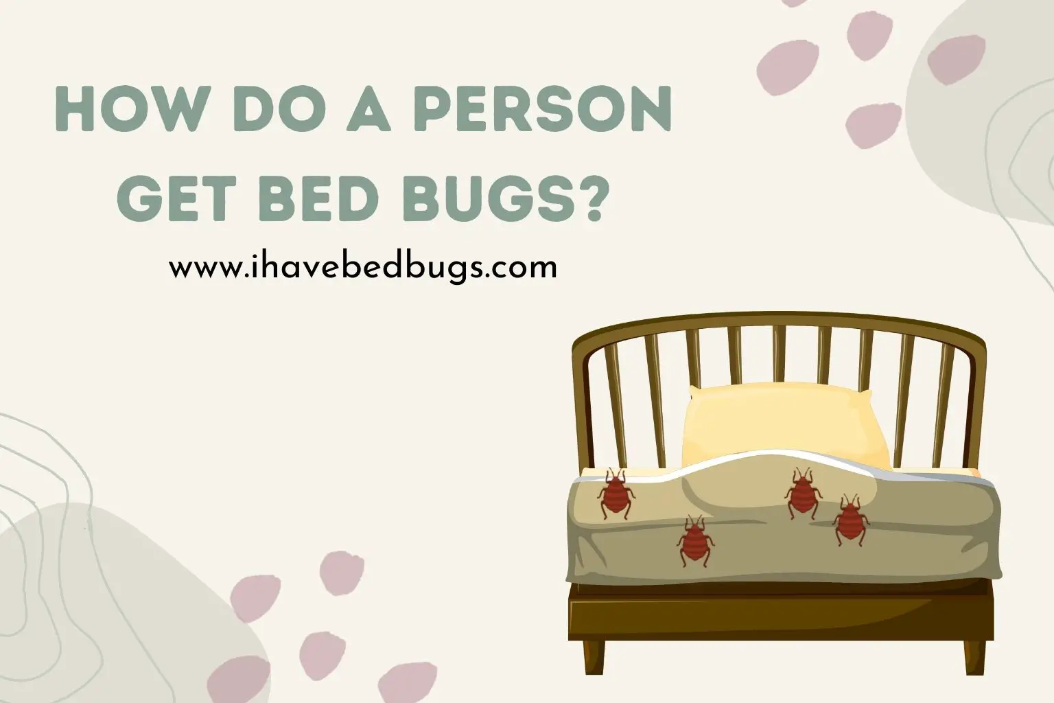 How do a person get bed bugs