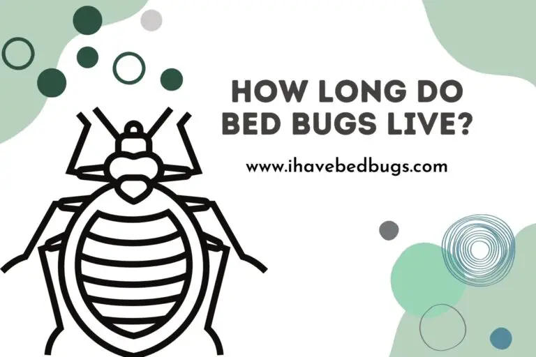 How Long Do Bed Bugs Live? - ihavebedbugs.com