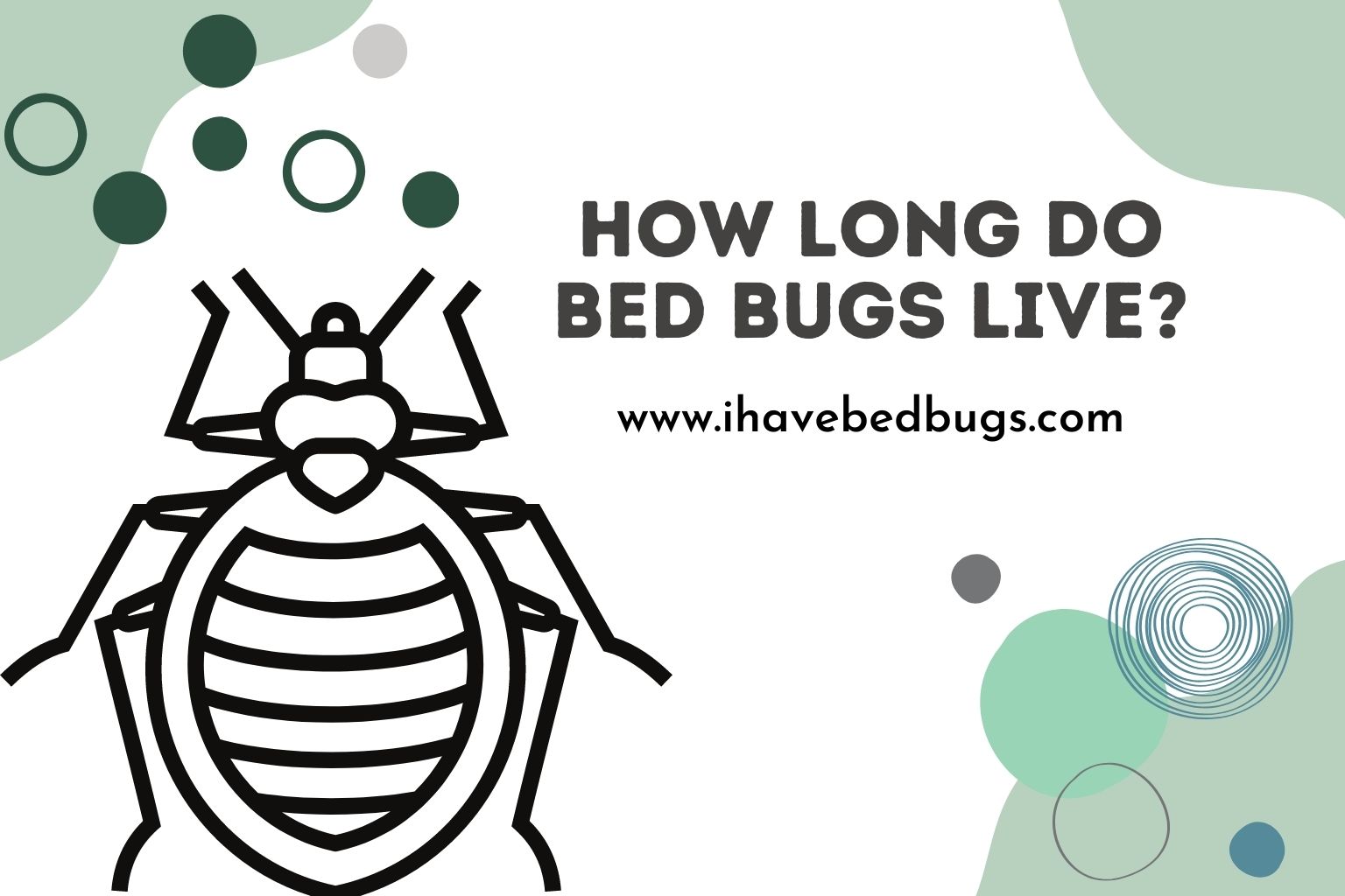 How Long Do Bed Bugs Live Ihavebedbugs