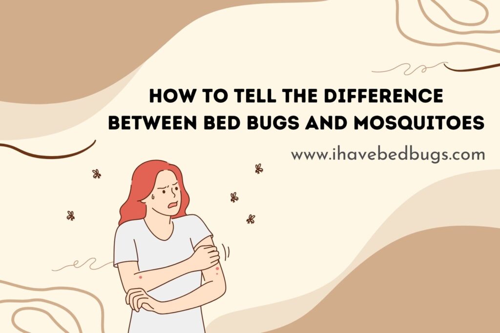 How to Tell the Difference Between Bed Bugs and Mosquitoes