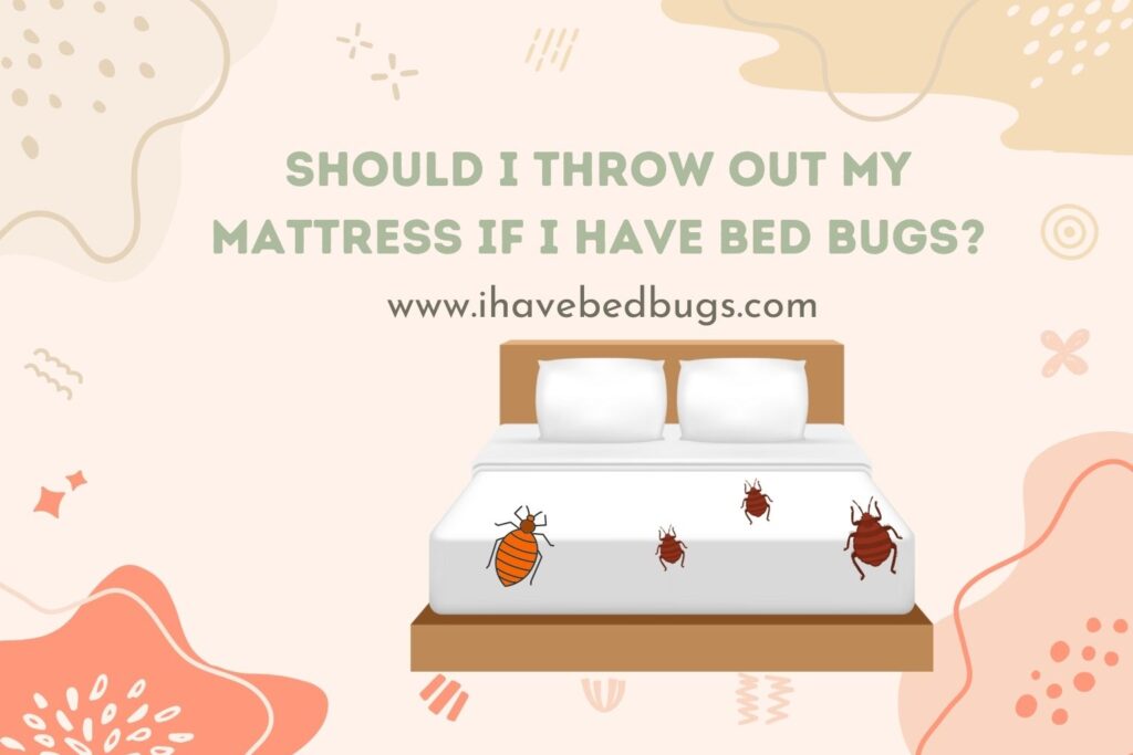 Should I Throw Out My Mattress If I Have Bed Bugs?