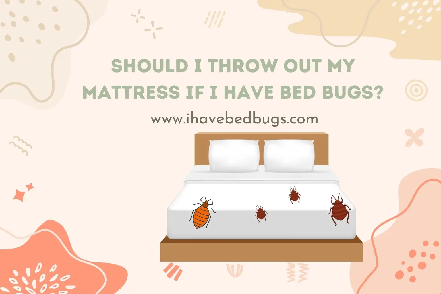 Should I throw out my mattress if I have bed bugs