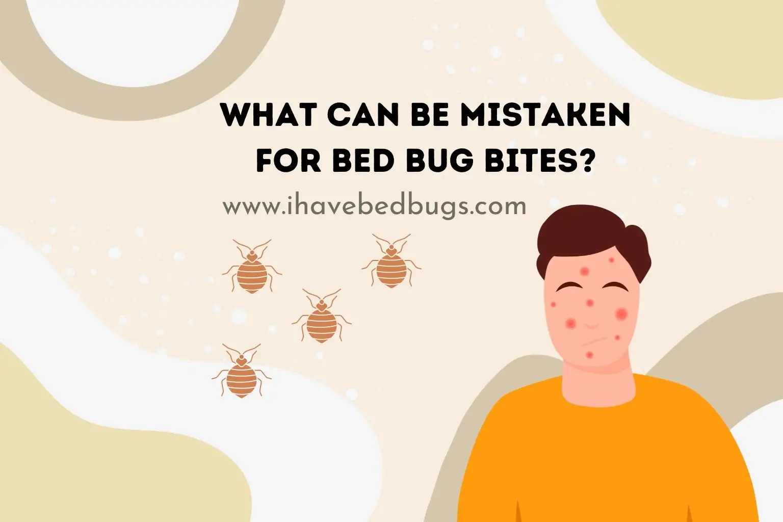 What can be mistaken for bed bug bites