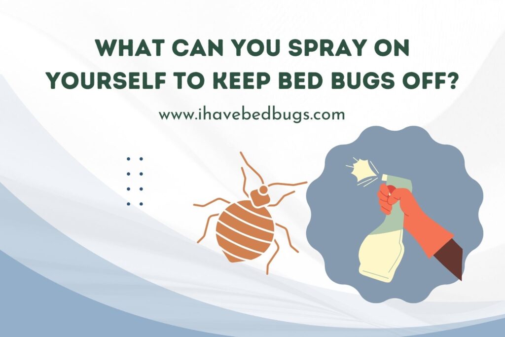 What Can You Spray on Yourself to Keep Bed Bugs Off?