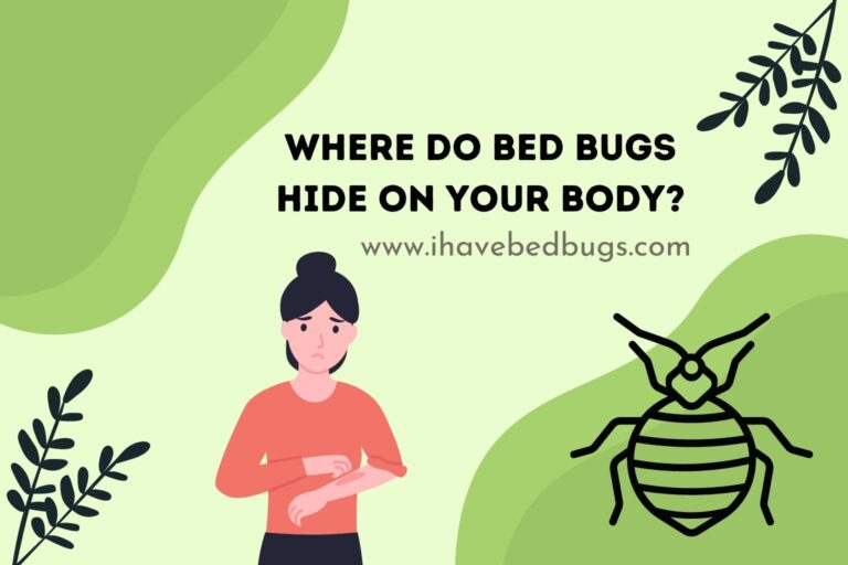 where-do-bed-bugs-hide-on-your-body-ihavebedbugs