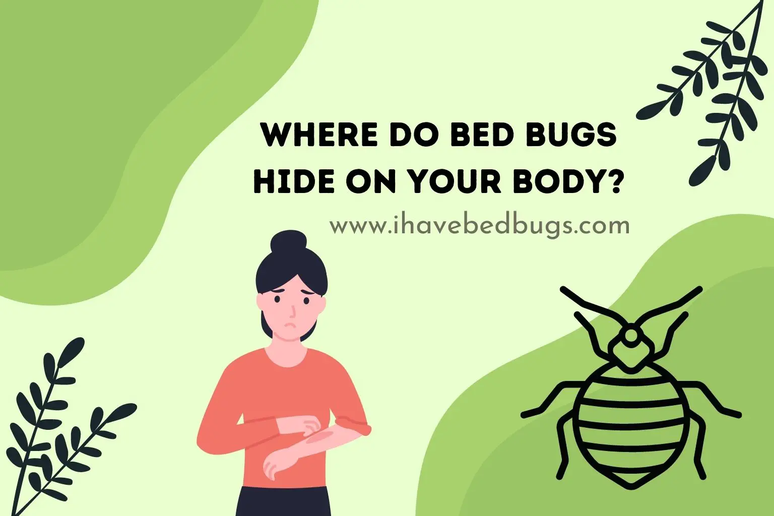 Where do bed bugs hide on your body