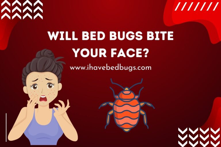 Will Bedbugs Bite Your Face?