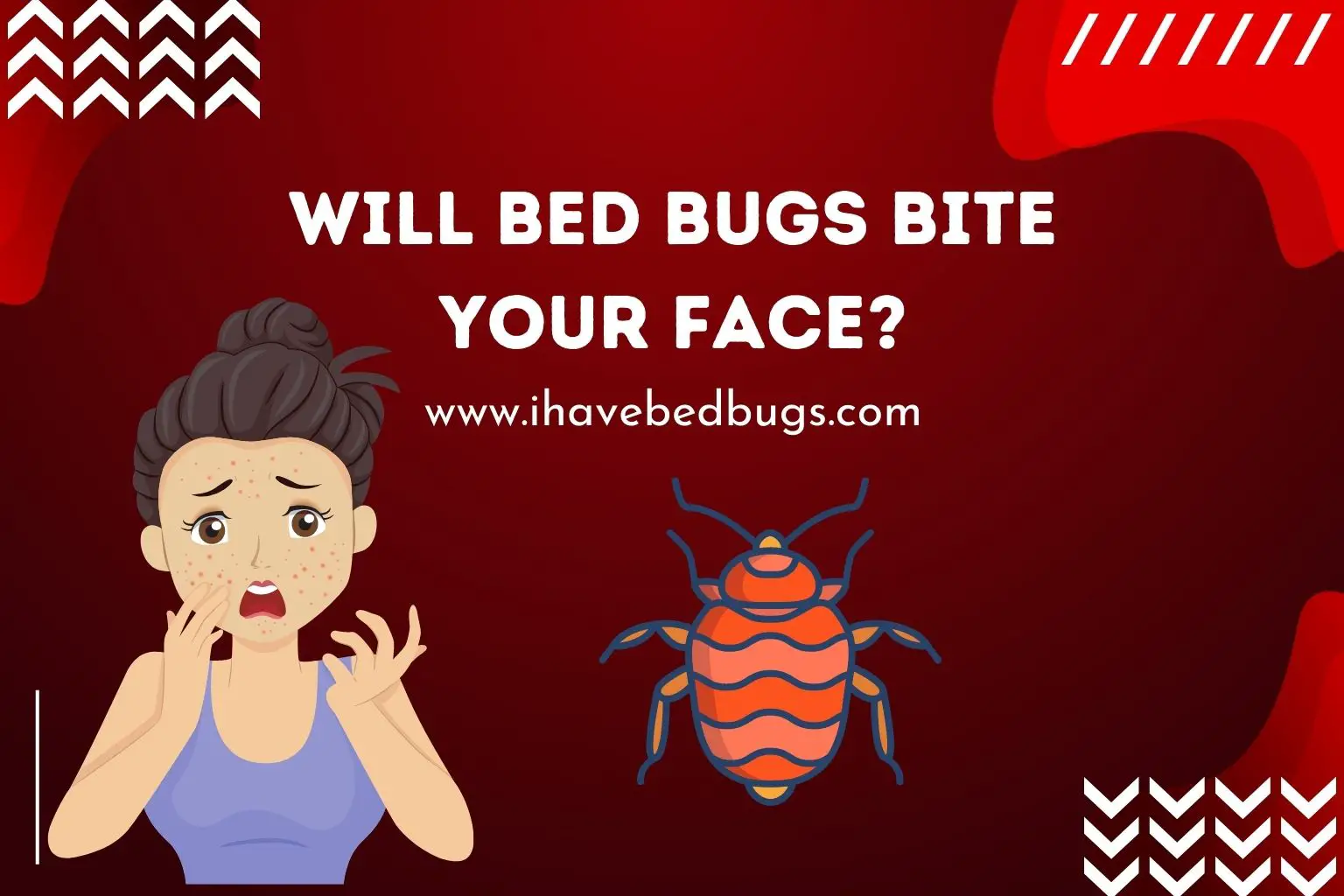Will bed bugs bite your face