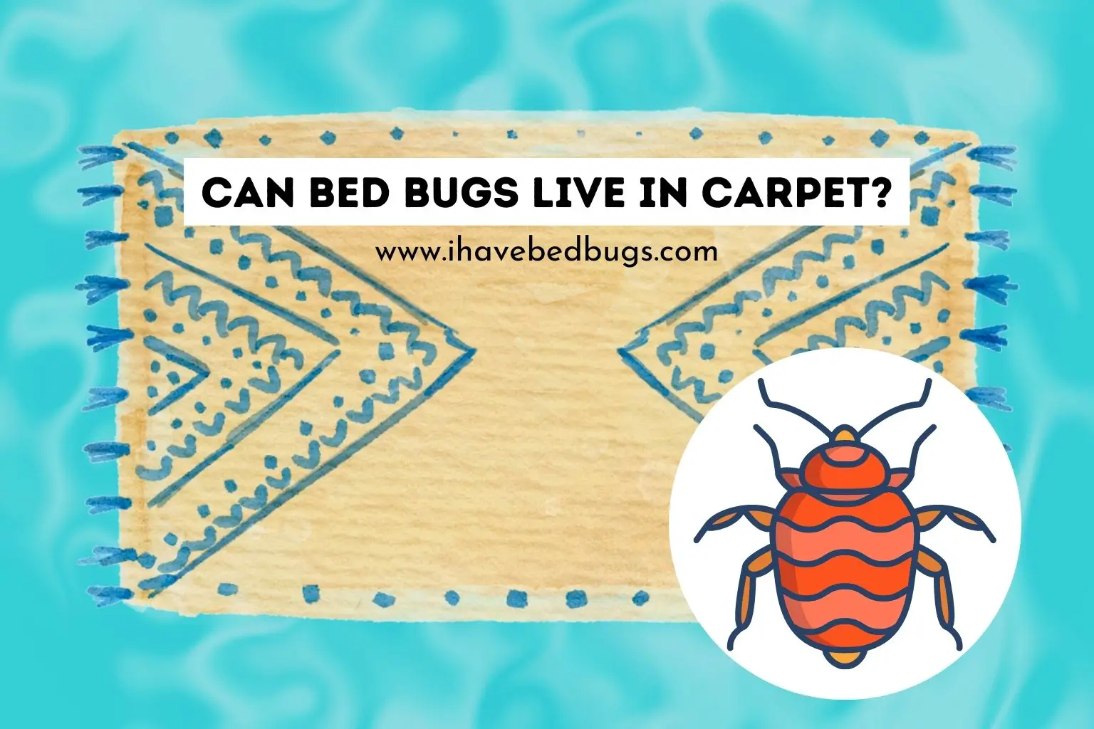 can bed bugs live in carpet