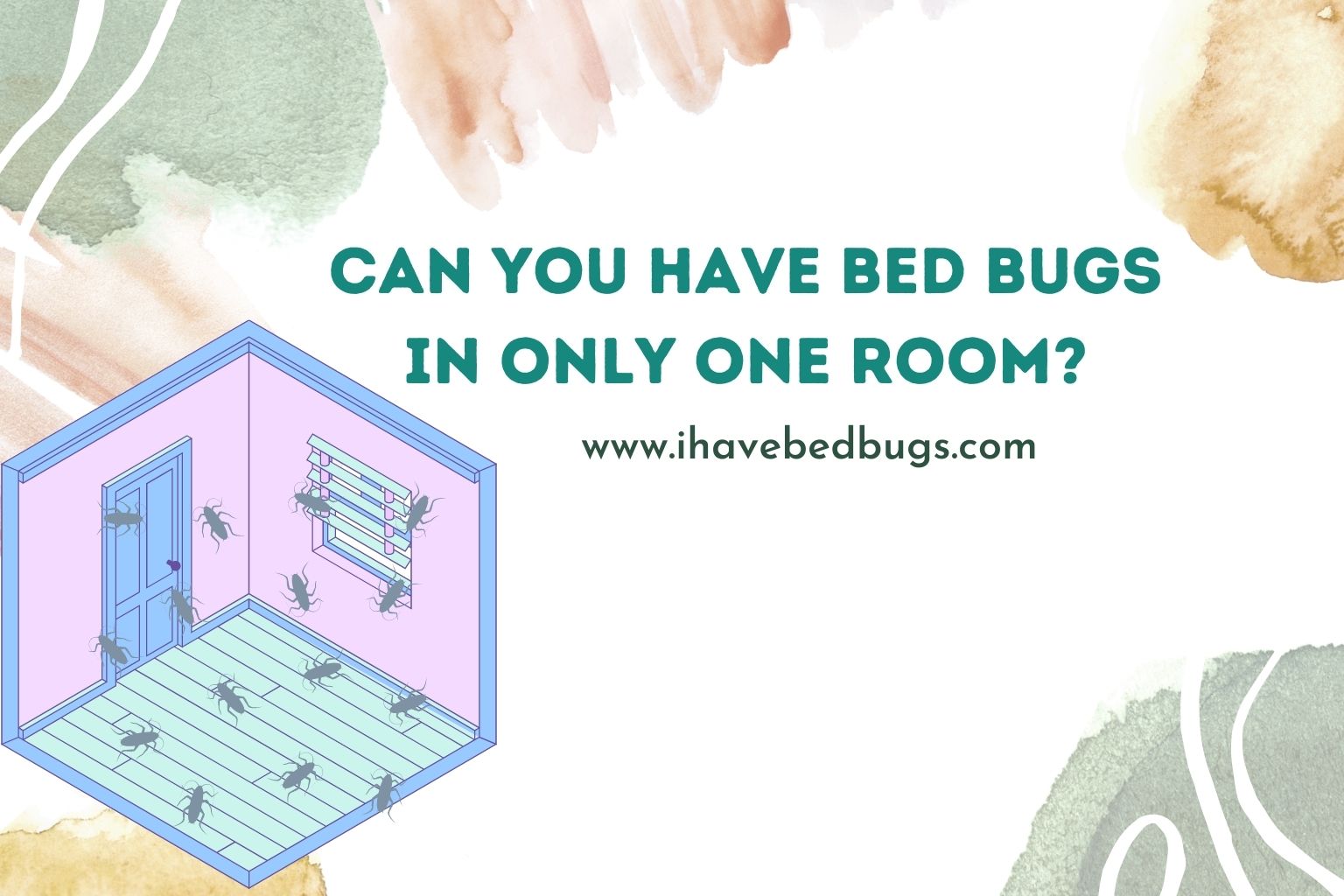 can you have bed bugs in only one room