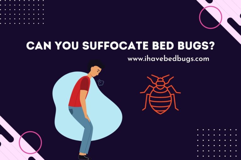 Can You Suffocate Bed Bugs?
