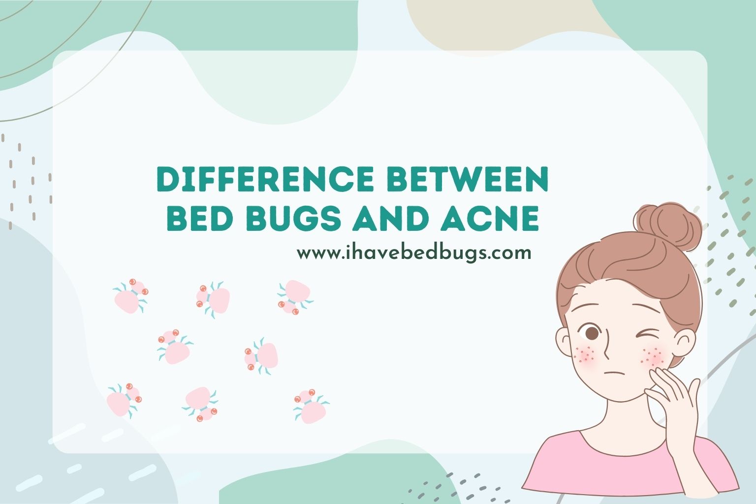 difference between bed bugs and acne