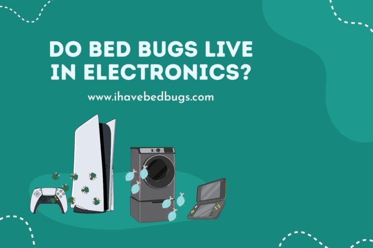 Do Bed Bugs Live in Electronics? Find Out How to Kill Them