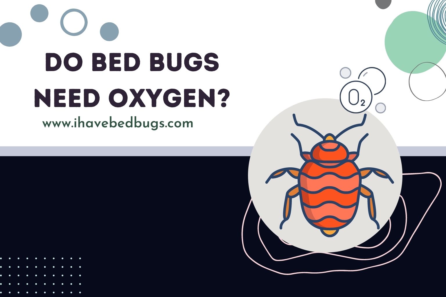 do bed bugs need oxygen