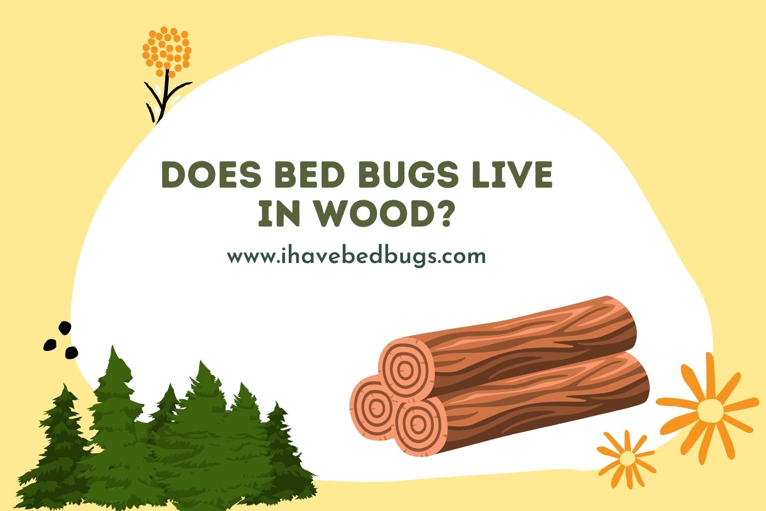 does bed bugs live in wood