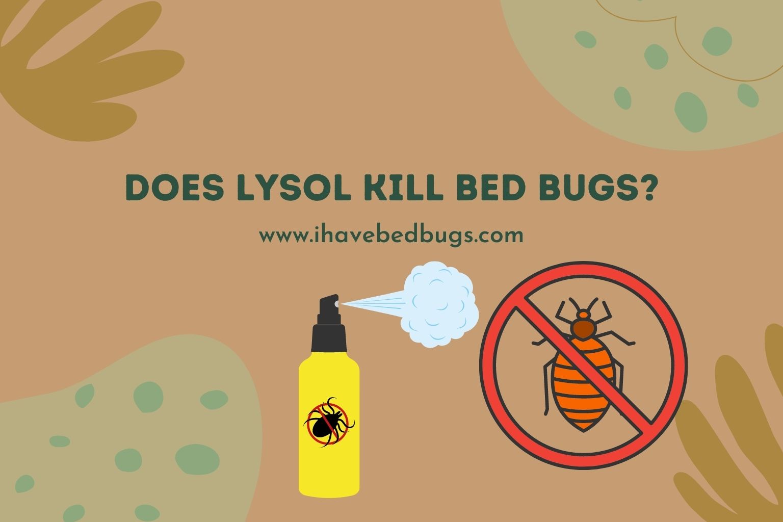 does lysol kill bed bugs