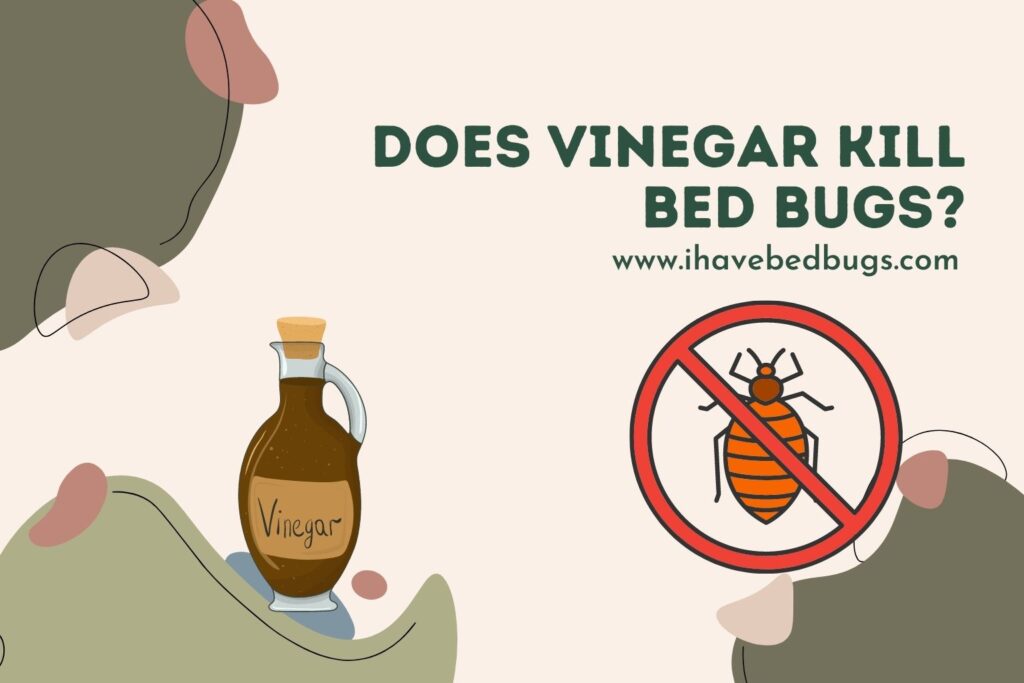 Will Vinegar Kill Scale Insects At Richard Jett Blog