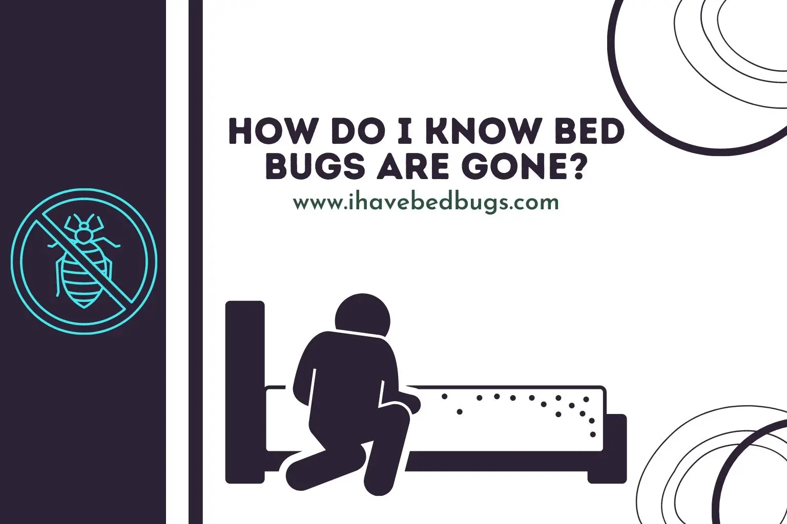 how do i know bed bugs are gone