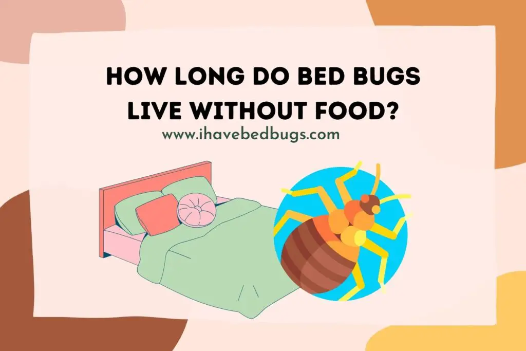 how-long-can-bed-bugs-live-without-food