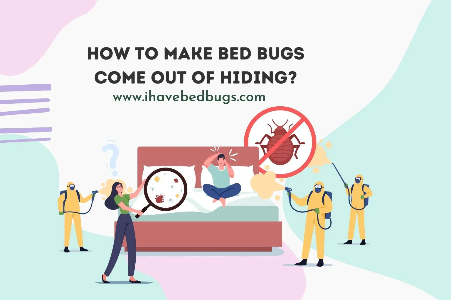 How to Make Bed Bugs Come Out of Hideout?