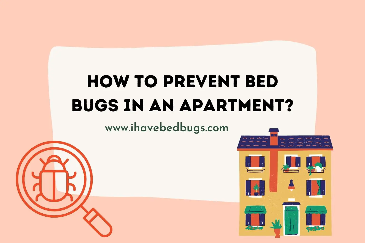 how to prevent bed bugs in an apartment