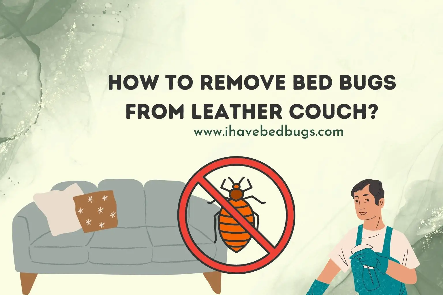 how to remove bed bugs from leather couch
