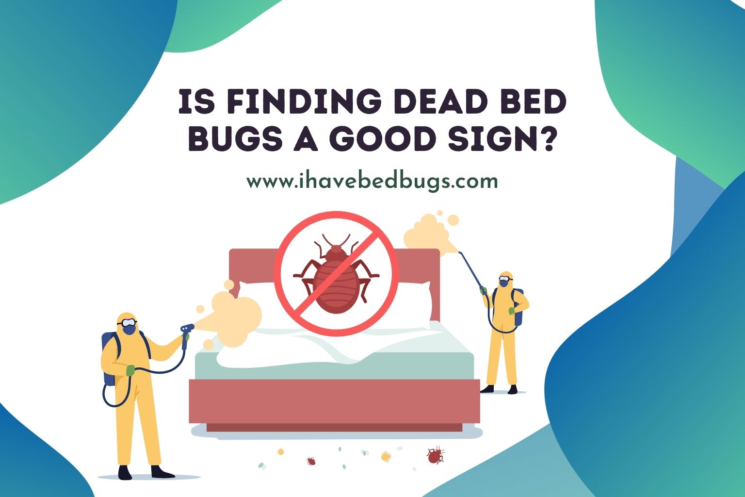 is finding dead bed bugs a good sign