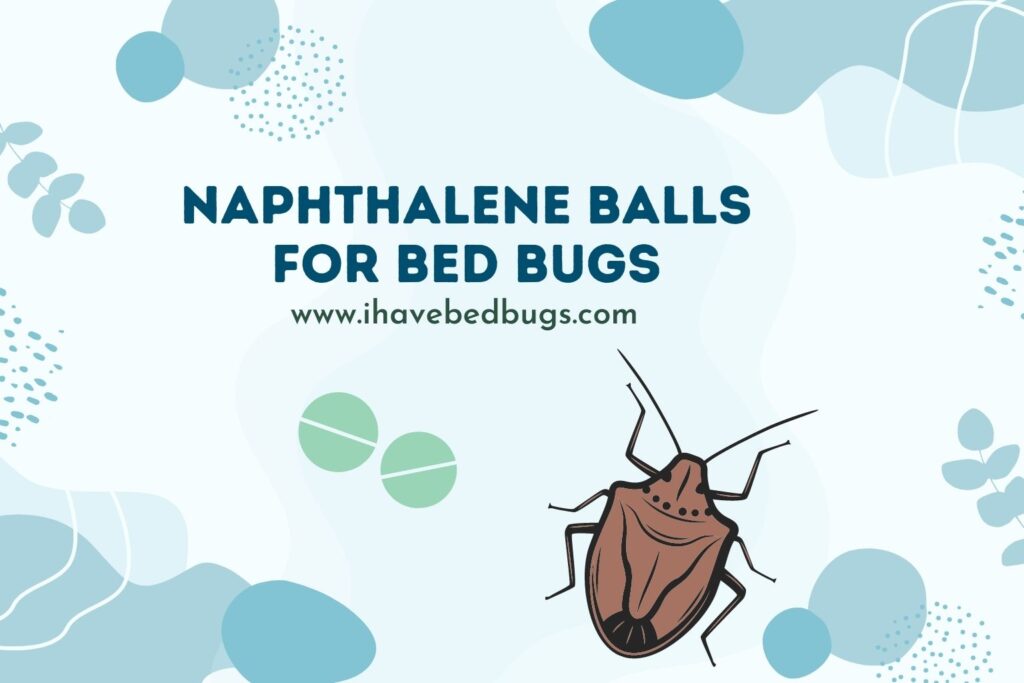 Naphthalene Balls For Bed Bugs