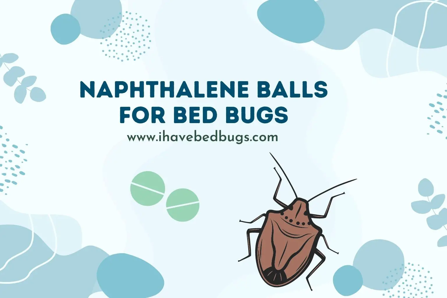 naphthalene balls for bed bugs