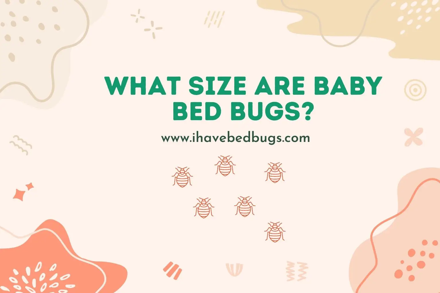 what size are baby bed bugs