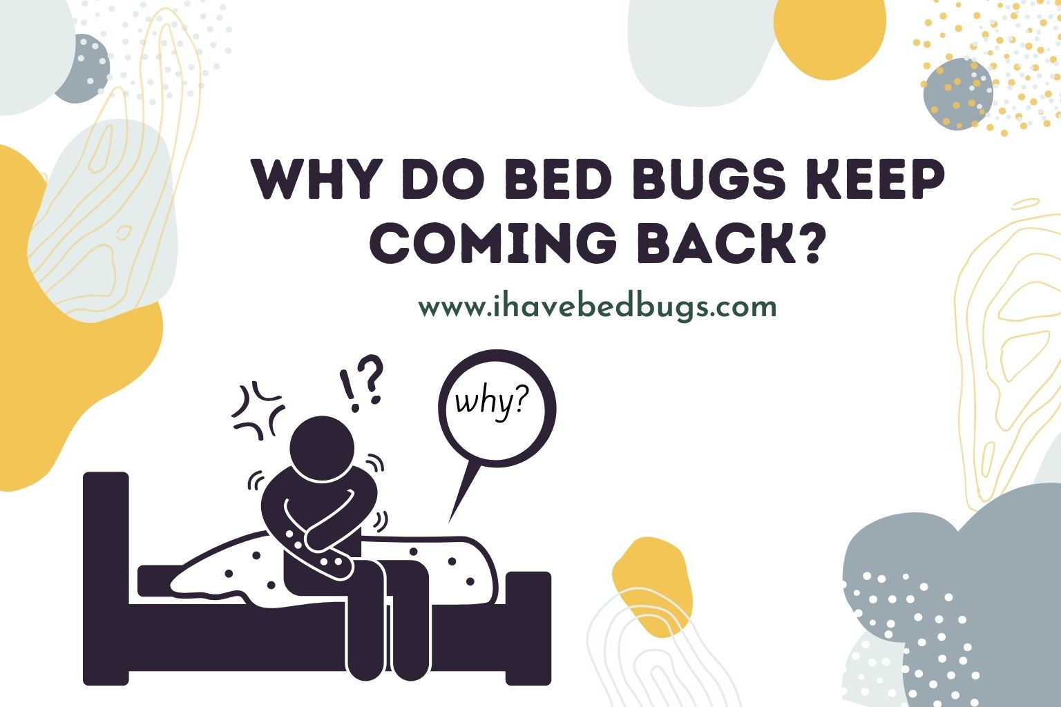 why do bed bugs keep coming back